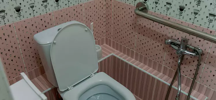 Meeting Diverse Needs With Accessible Restroom Solutions in Ilchester, MD